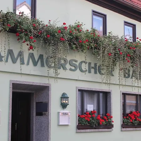 班霍夫阿莫什尔旅馆 3*