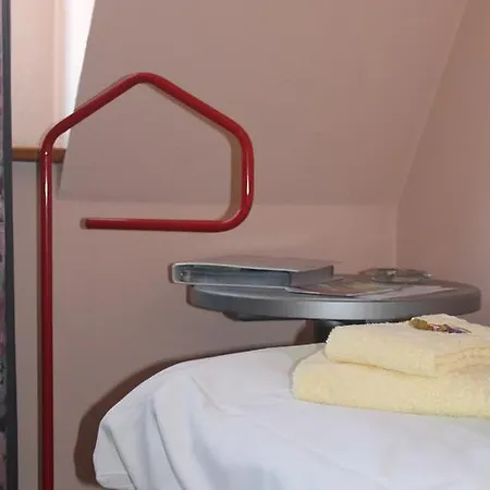 班霍夫阿莫什尔旅馆 米尔豪森